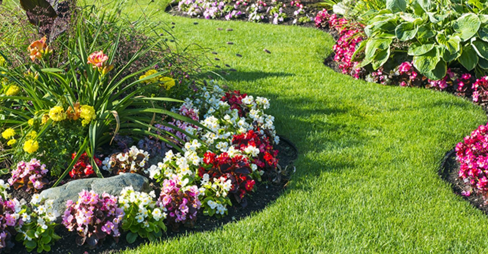Colourful flower bed border alongside a manicured lawn